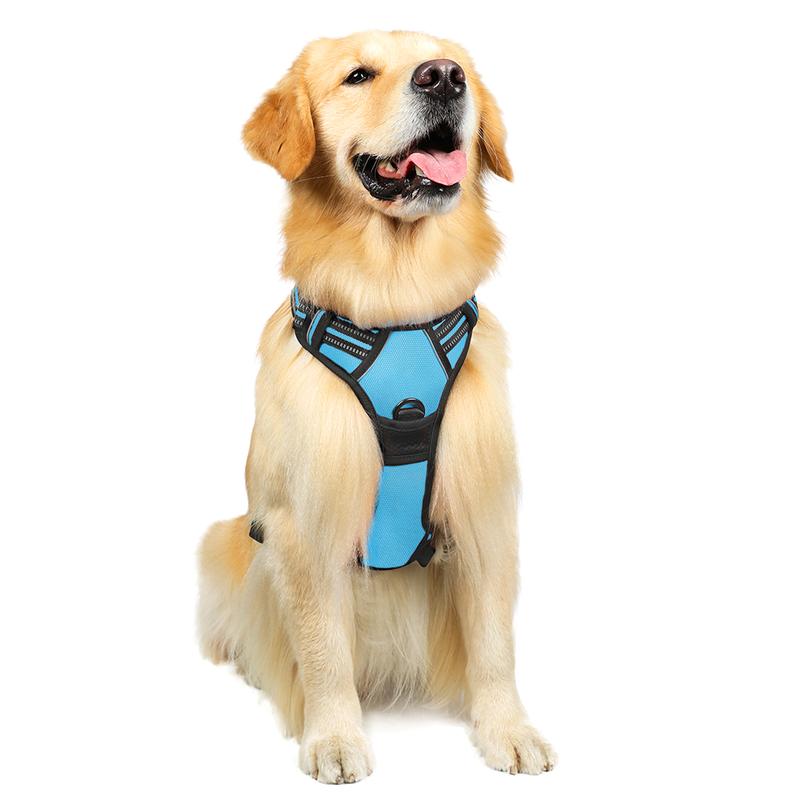 rabbitgoo Dog Harness, No-Pull Pet Harness with2 Leash Clips, Adjustable Soft Padded Dog Vest