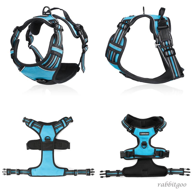 rabbitgoo Dog Harness, No-Pull Pet Harness with2 Leash Clips, Adjustable Soft Padded Dog Vest