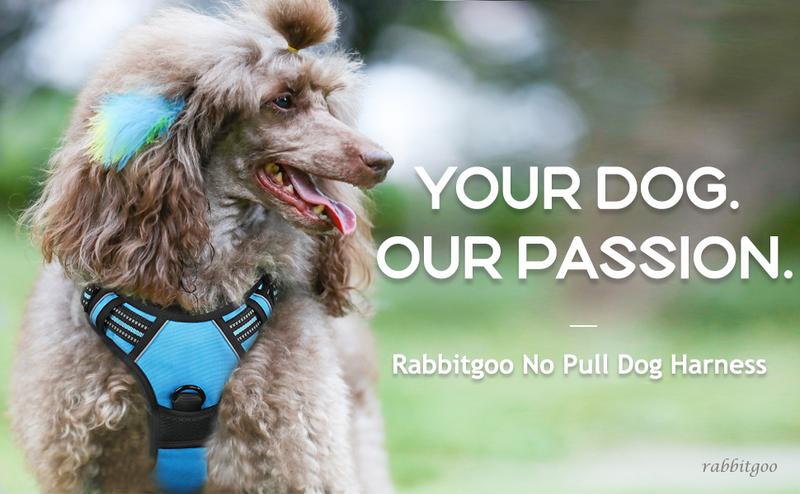 rabbitgoo Dog Harness, No-Pull Pet Harness with2 Leash Clips, Adjustable Soft Padded Dog Vest