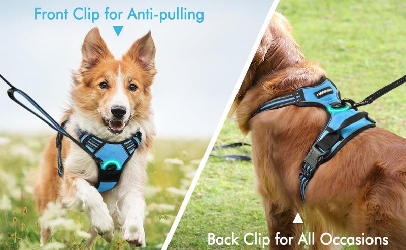 rabbitgoo Dog Harness, No-Pull Pet Harness with2 Leash Clips, Adjustable Soft Padded Dog Vest