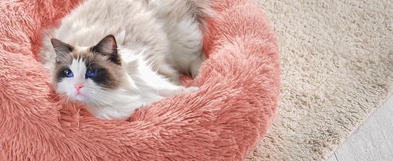 rabbitgoo Cat Beds for Indoor Cats,20 inchesCat Bed Machine Washable, Fluffy Round Pet BedNon-Slip, Calming Soft Plush Donut CuddlerCushion Self Warming for Small Dogs Kittens